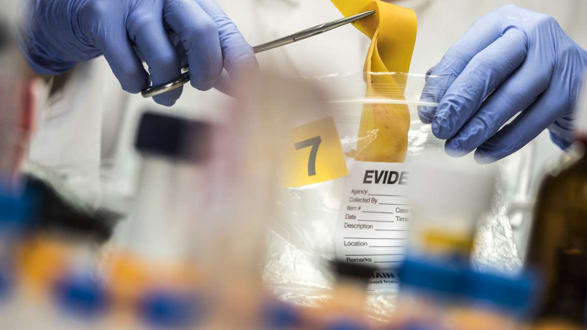 New DNA hair test helps solve cold case Precise Digital